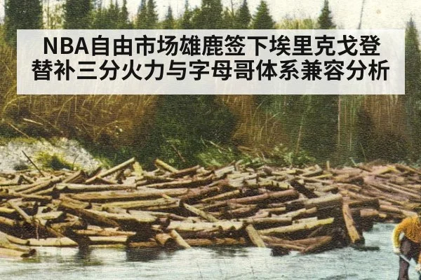 NBA自由市场雄鹿签下埃里克戈登替补三分火力与字母哥体系兼容分析